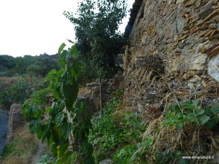 San Michele Arcangelo Allume